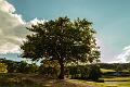 2016_10_09 (0102)